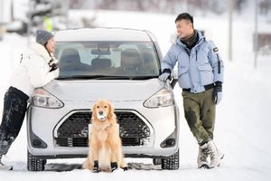¡Increíble! Una pareja llevó a su perrito de vacaciones a Japón y gastó más de medio millón de pesos