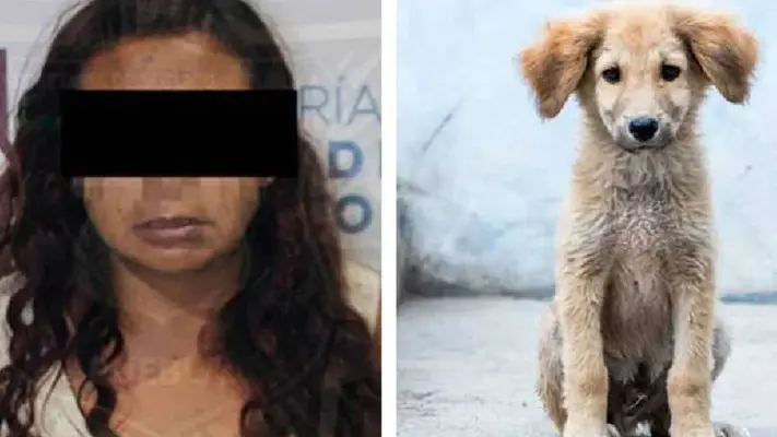 "La Mataperros" fue detenida en Puebla después de cuatro años