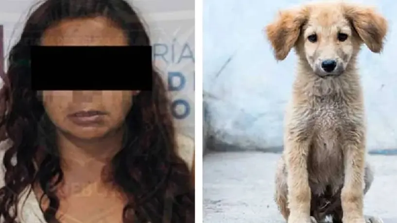 "La Mataperros" fue detenida en Puebla después de cuatro años