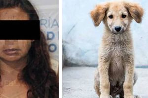 "La Mataperros" fue detenida en Puebla después de cuatro años