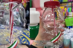 ¿Pejedrink o Pejechela? El vaso viral de Tik Tok con la imagen de AMLO