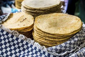 Especialistas destacan beneficios de la tortilla de maíz en nuestra dieta