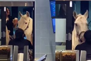 Amigas van por un café a Starbucks de Apodaca montadas en caballo