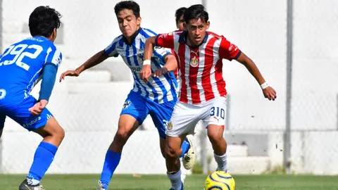 ¿Qué equipos destacan en las otras categorías del futbol mexicano?