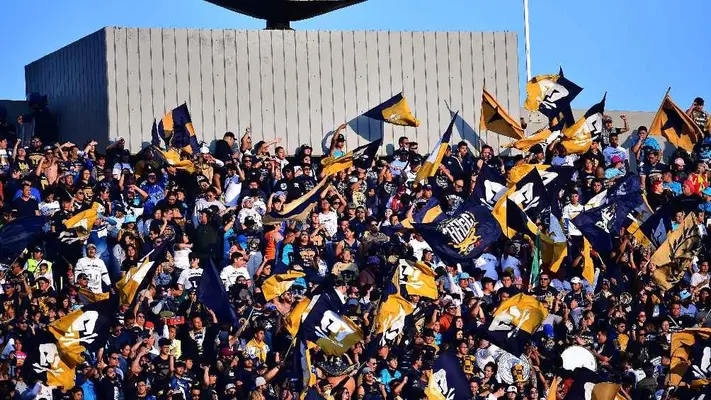 Liga MX: La Jornada 10 registró la mejor asistencia en estadios de todo el Clausura 2024