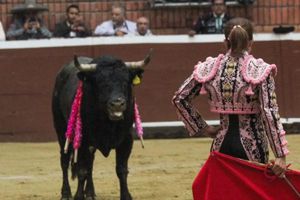 Habrá 'Noche de mujeres toreras' en la Plaza México