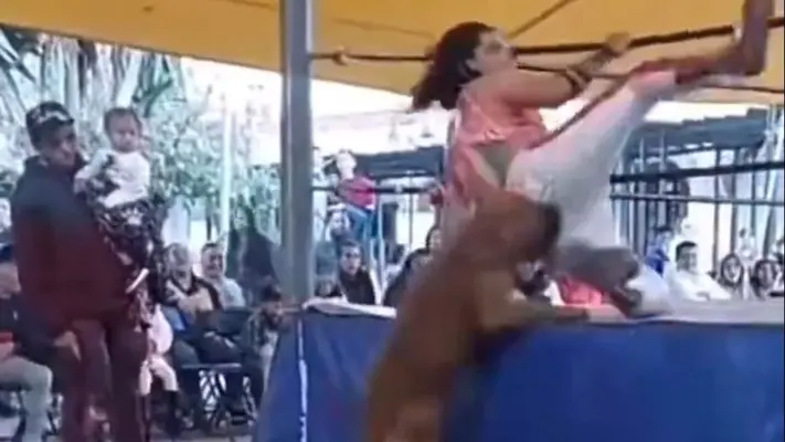 Perrito 'luchador' se vuelve viral tras dar mordidas a enmascarados al caer del ring
