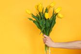 ¿Regalarás flores amarillas el 21 de marzo? Te contamos el motivo de esta tradición