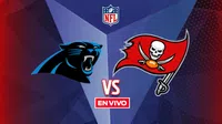 Carolina Panthers vs Tampa Bay Bucaneers EN VIVO NFL Semana 18
