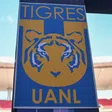 Tigres comenzará el Clausura 2026 sin firmar ningún refuerzo