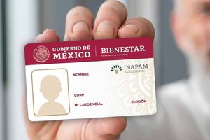 ¿Se puede tramitar la credencial INAPAM 2026 en línea? Esto es lo que debes saber