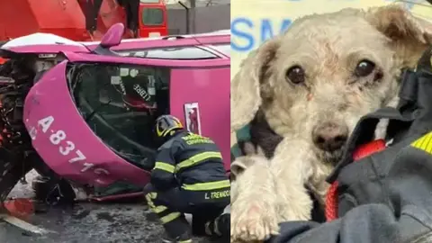 VIDEO: Muere taxista en trágico accidente en San Antonio Abad; rescatan con vida a su perrito