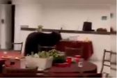 Oso negro irrumpe en posada navideña en Nuevo León y se come la cena