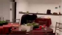 Oso negro irrumpe en posada navideña en Nuevo León y se come la cena