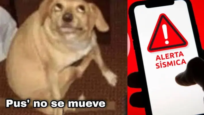 Checa los mejores MEMES del sismo de 5.3 grados que despertó a México hoy 16 de enero