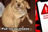 Checa los mejores MEMES del sismo de 5.3 grados que despertó a México hoy 16 de enero