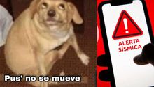 Checa los mejores MEMES del sismo de 5.3 grados que despertó a México hoy 16 de enero