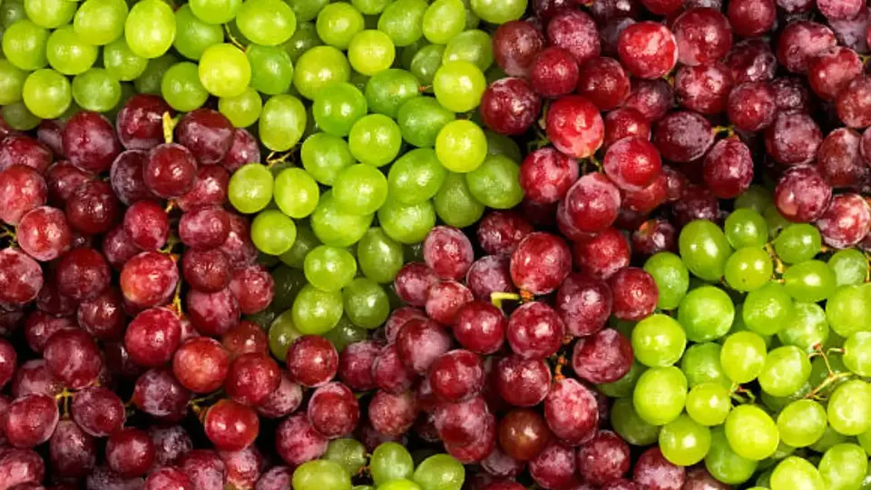 Uvas rojas vs. verdes: ¿cuáles son sus diferencias y qué elegir para Año Nuevo 2026?