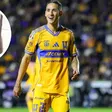 Osos irrumpen casa de jugador de Tigres y se 'roban' pertenencias