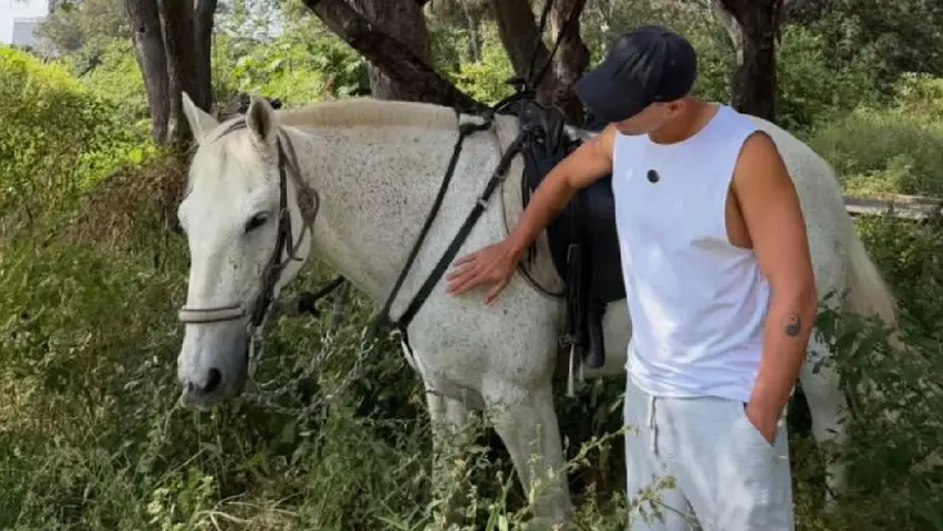 Javier Hernández en el campo | IG:@ch14_