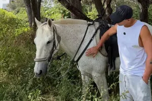 ‘Mi madre estuvo a punto de morir y me funaron’: Chicharito se rompe y recuerda su 2025