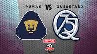 Pumas vs Querétaro EN VIVO Liga MX Clausura 2026 Jornada 1