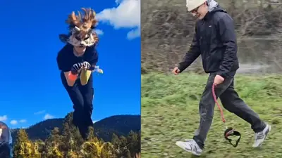 VIDEO: Adiós Therians… ahora pasean perros invisibles: así es el “Hobby Dogging”