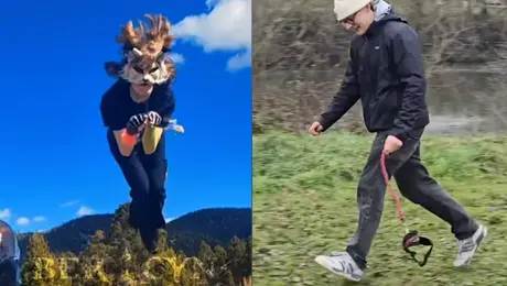 VIDEO: Adiós Therians… ahora pasean perros invisibles: así es el “Hobby Dogging”
