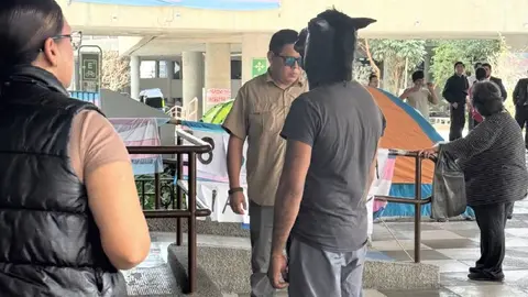 El therian en forma de caballo llegó hasta el Congreso de Nuevo León para presentar su iniciativa/X: @emeequis