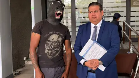 ¿Qué es la Ley Therian? Joven que se cree caballo presentó iniciativa para evitar bullying