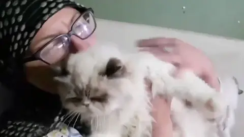 Diana Abbadi decidió no abandonar a sus gatos pese al riesgo por los ataques. / Captura