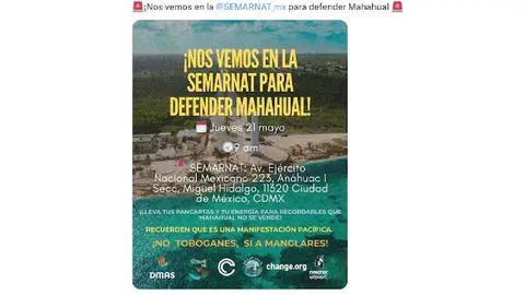 Activistas y ciudadanos convocaron a una protesta frente a SEMARNAT. / Captura de pantalla