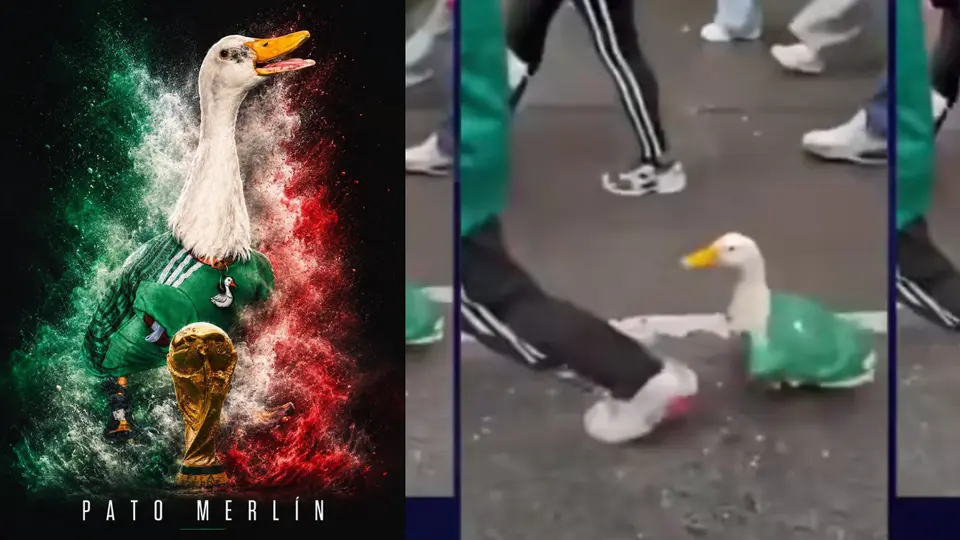 Ahora el pato Merlín se ha convertido en un fenómeno y todos lo quieren conocer / Especial