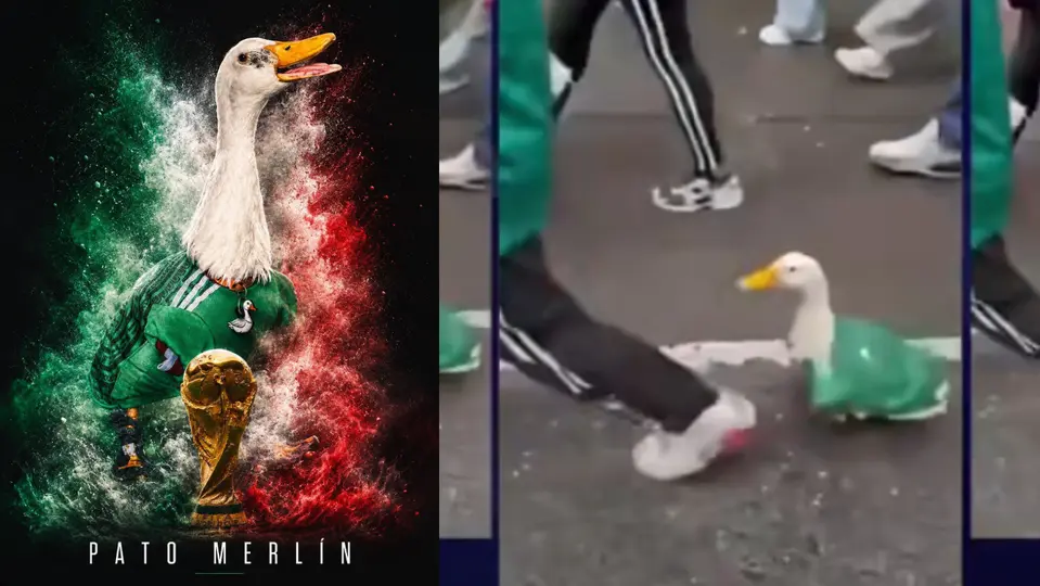 Ahora el pato Merlín se ha convertido en un fenómeno y todos lo quieren conocer / Especial