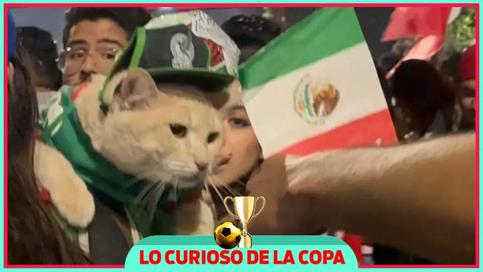 ¡Todos con la Selección! Máscotas que se han hecho virales en el Mundial 2026