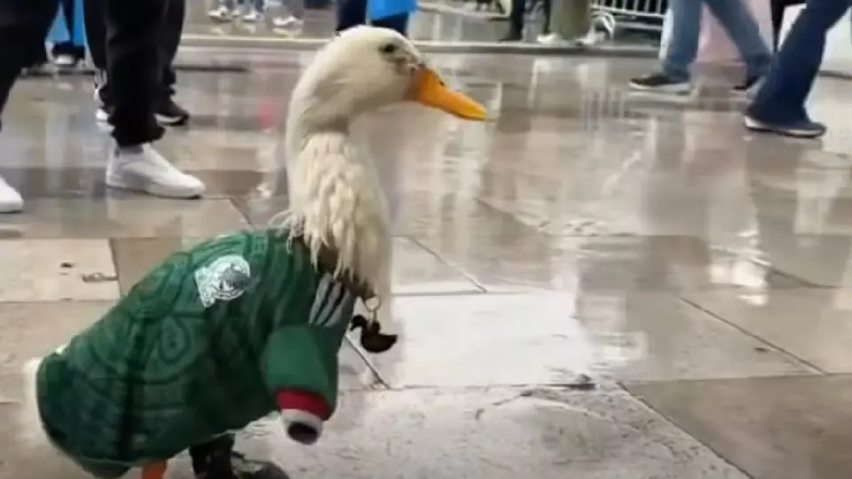 El reconocimiento se lo ganó en el FIFA Fan Fest de la CDMX / Especial
