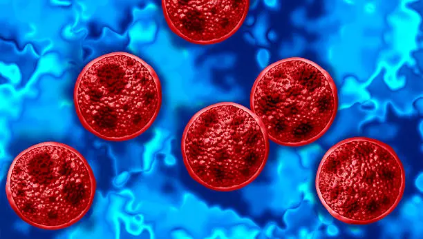 El parásito Cyclospora cayetanensis puede contaminar frutas y verduras durante las etapas de cultivo, cosecha o procesamiento./ Pixabay