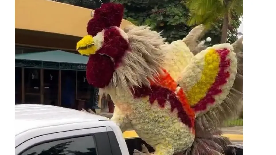 Los gallos colocados en el sepulcro hacen referencia al sobrenombre con el que también era conocido Nemesio Oseguera Cervantes: 'El Señor de los Gallos'./ x: @AbejorroMedia