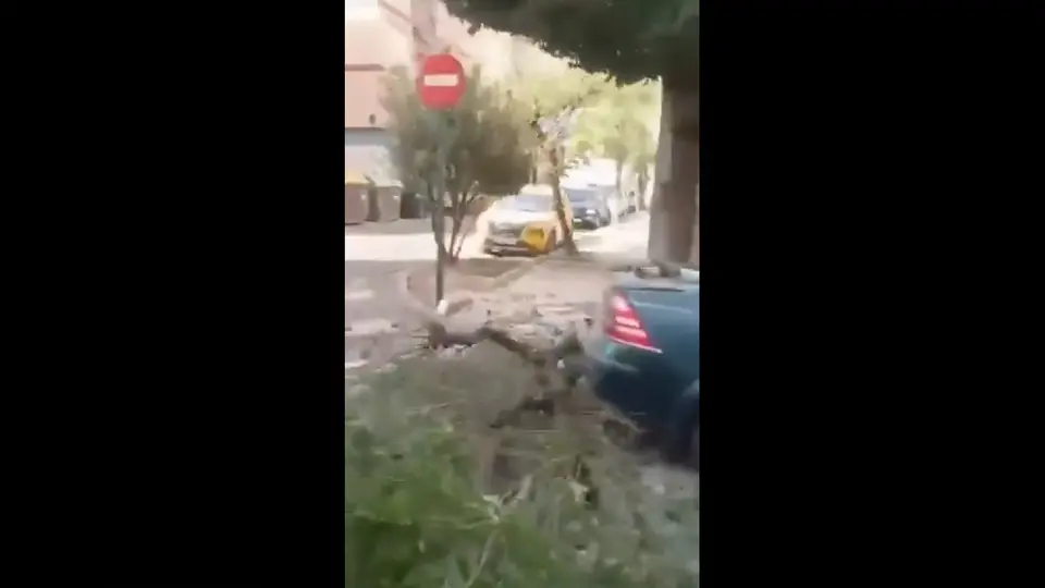 En España, durante este martes, se reportó un temblor de magnitud 4.8 / Especial