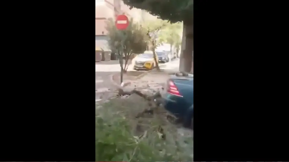 En España, durante este martes, se reportó un temblor de magnitud 4.8 / Especial