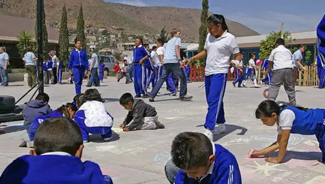 ¿Qué es el “derecho a la sombra” que proponen para las escuelas de CDMX?