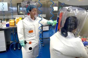 Científicos chinos crean mutación del Covid-19 que es 100% letal en 'ratones humanizados'