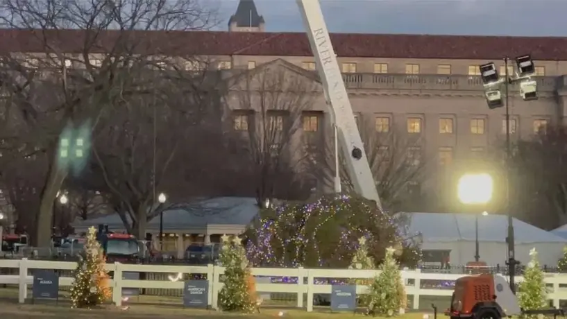 Fuertes vientos tiran el Árbol de Navidad de la Casa Blanca