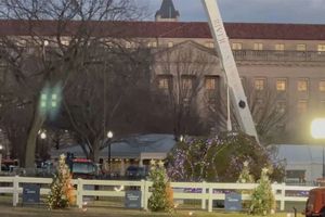 Fuertes vientos tiran el Árbol de Navidad de la Casa Blanca
