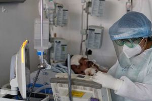 Covid-19: Alertan que variante pirola podría provocar saturación de hospitales y camas de terapia intensiva