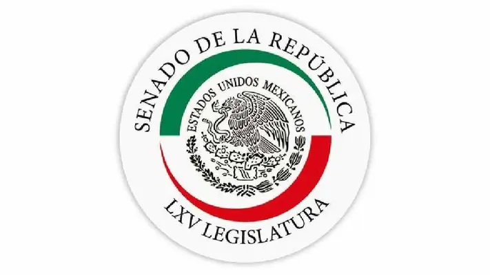 Senado le responde a la Liga MX Femenil: 'No es una reforma con "dedicatoria” para el futbol'