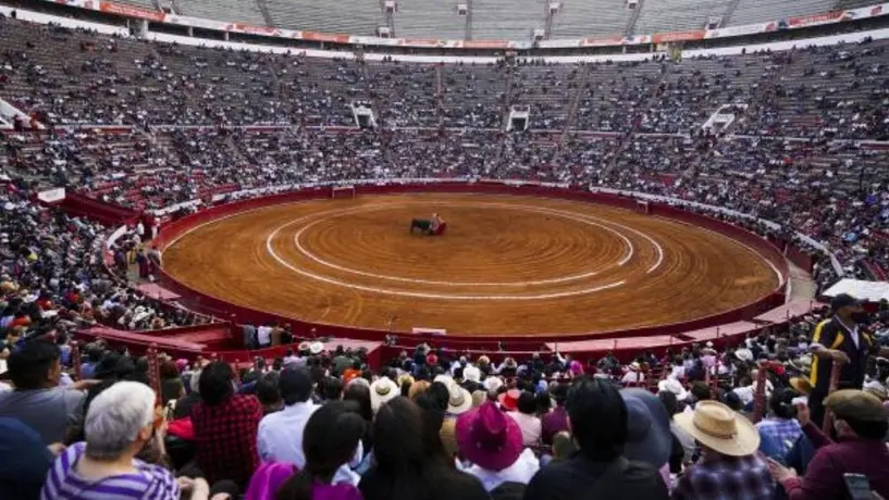 Corridas de toros vuelven a ser suspendidas en Plaza México