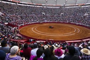 Corridas de toros vuelven a ser suspendidas en Plaza México