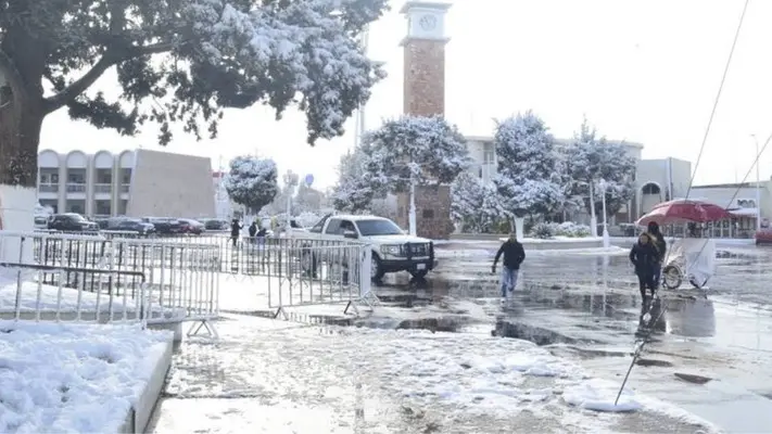 ¡Chihuahua congelada! Por frentes fríos caen nevadas en el estado