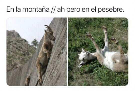 CAPTURA DE PANTALLA